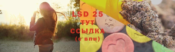 МДПВ Инсар