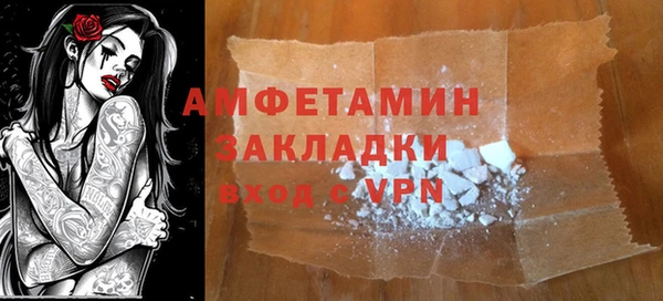 индика Алзамай