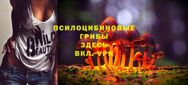 индика Алзамай