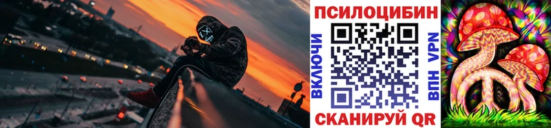 где можно купить   мега ссылка  Псилоцибиновые грибы прущие грибы  Черкесск 